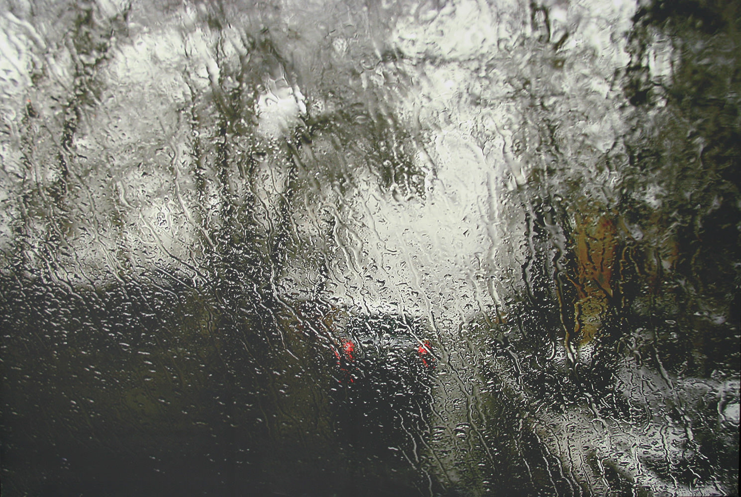 Дождь плёночная фотография
